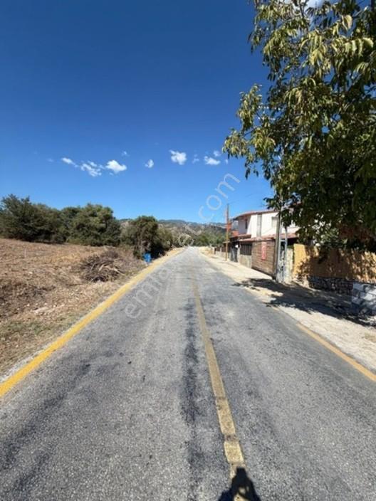 My - Asfalt Yola Cepheli Köyiçi Zeytinlik — fotoğraf 5