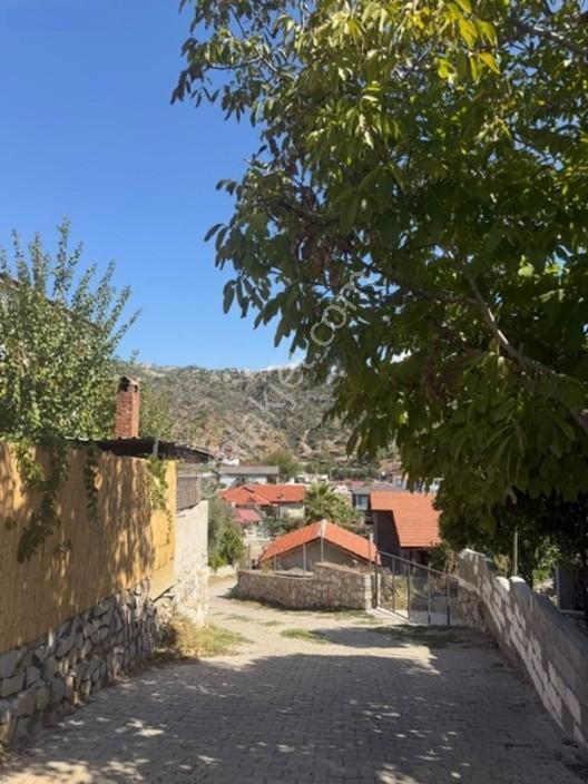 My - Asfalt Yola Cepheli Köyiçi Zeytinlik — fotoğraf 9