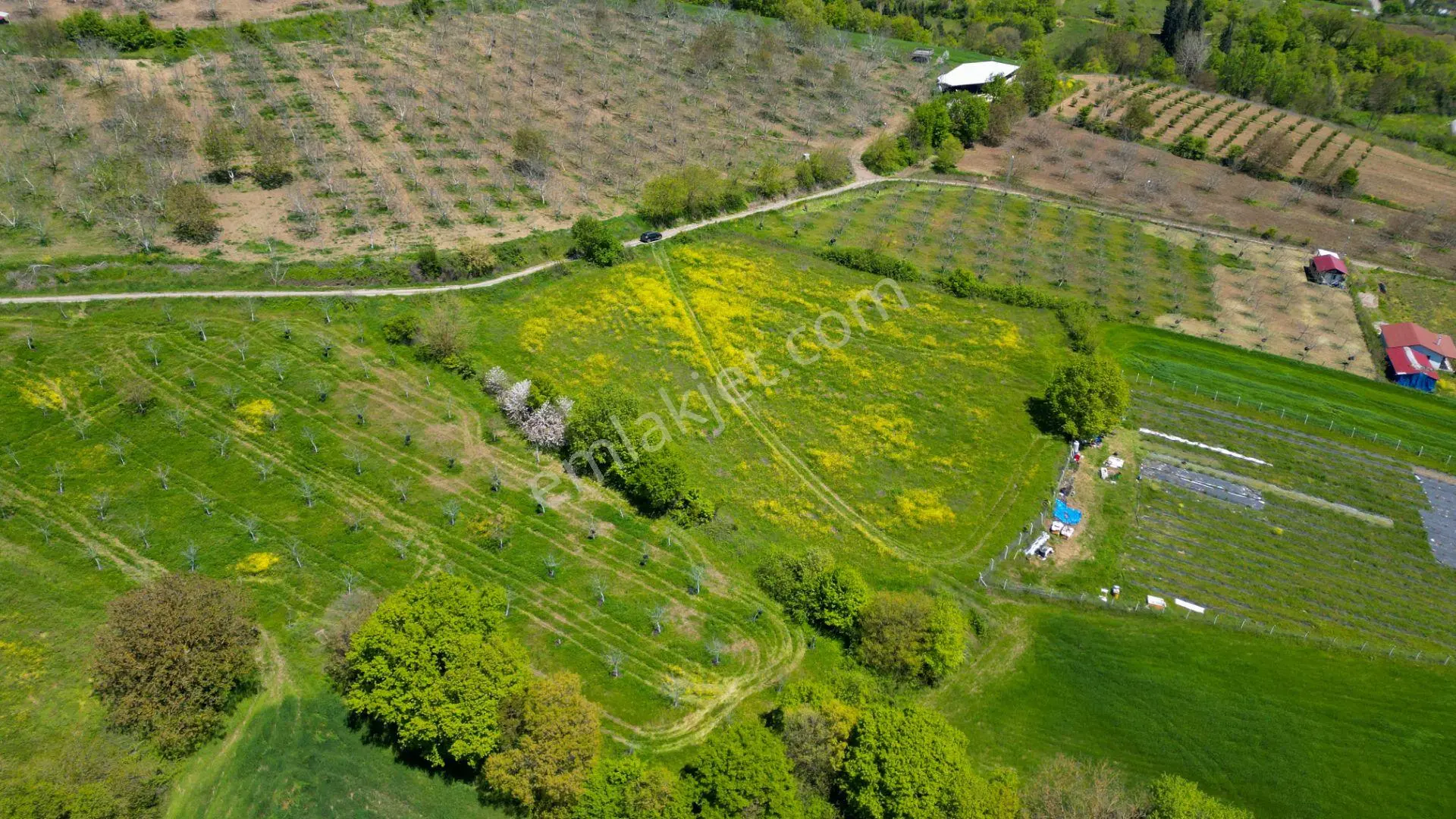 Uzmanlar'dan Karamürsel Yalakdere Satılık 6855 M2 Tarla — fotoğraf 5