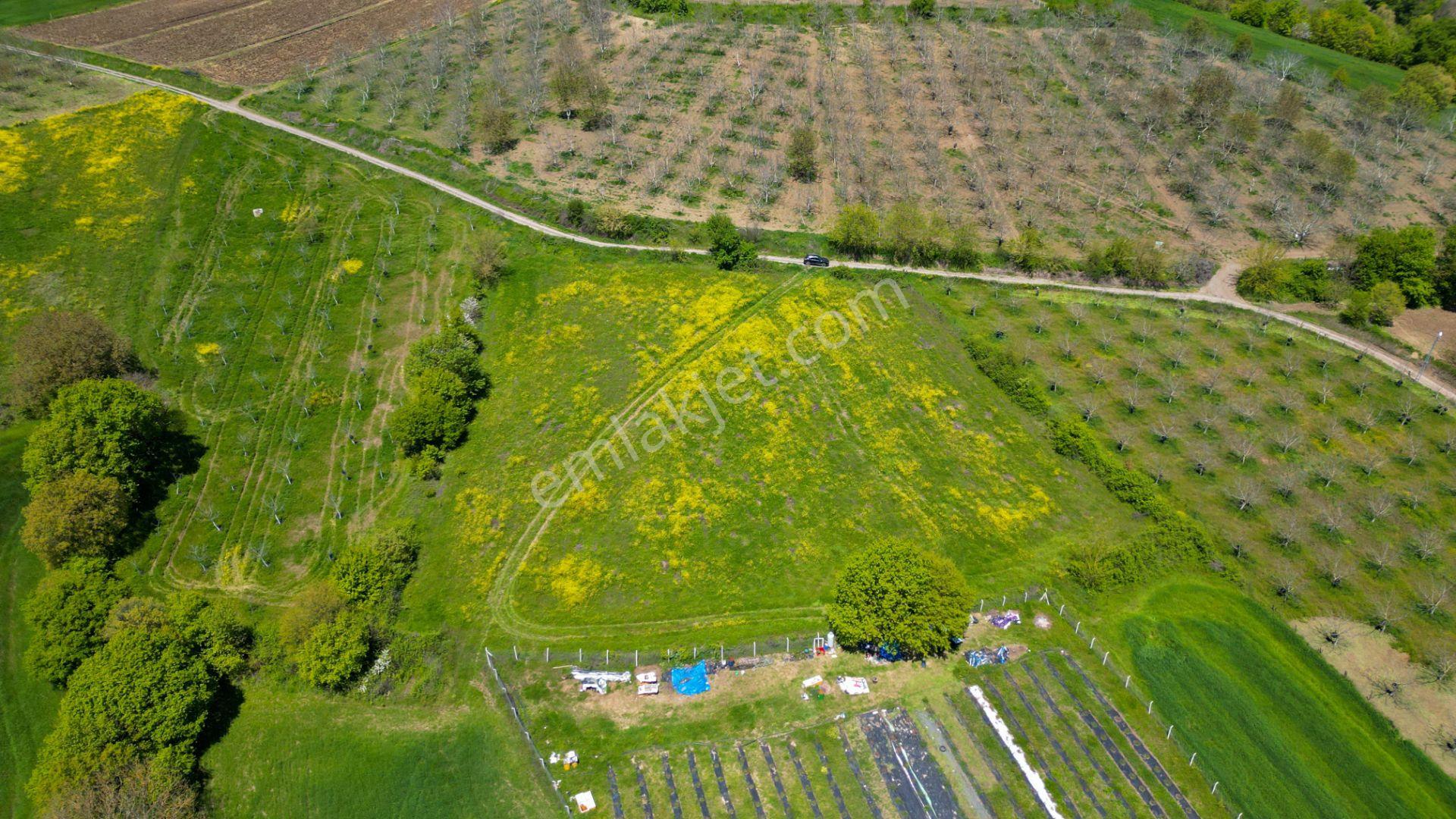 Uzmanlar'dan Karamürsel Yalakdere Satılık 6855 M2 Tarla — fotoğraf 6