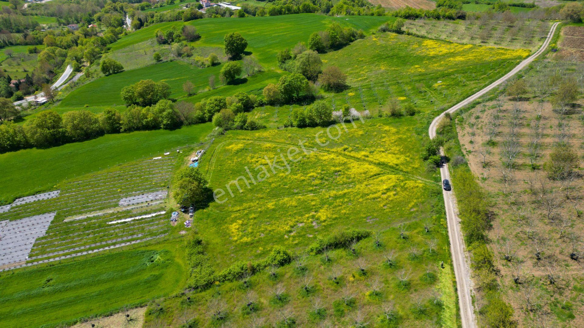 Uzmanlar'dan Karamürsel Yalakdere Satılık 6855 M2 Tarla — fotoğraf 7