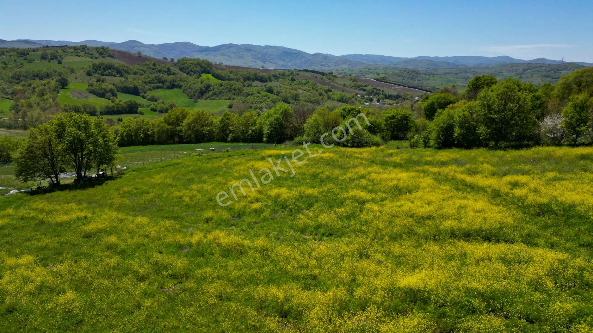 Uzmanlar'dan Karamürsel Yalakdere Satılık 6855 M2 Tarla — fotoğraf 10