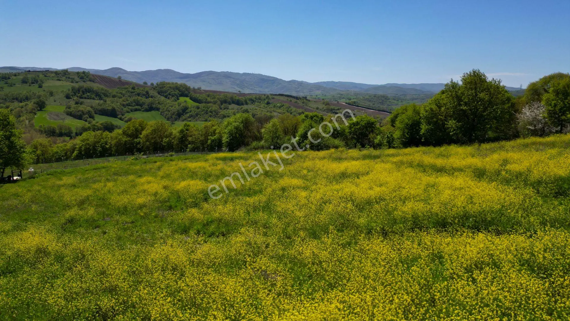 Uzmanlar'dan Karamürsel Yalakdere Satılık 6855 M2 Tarla — fotoğraf 11