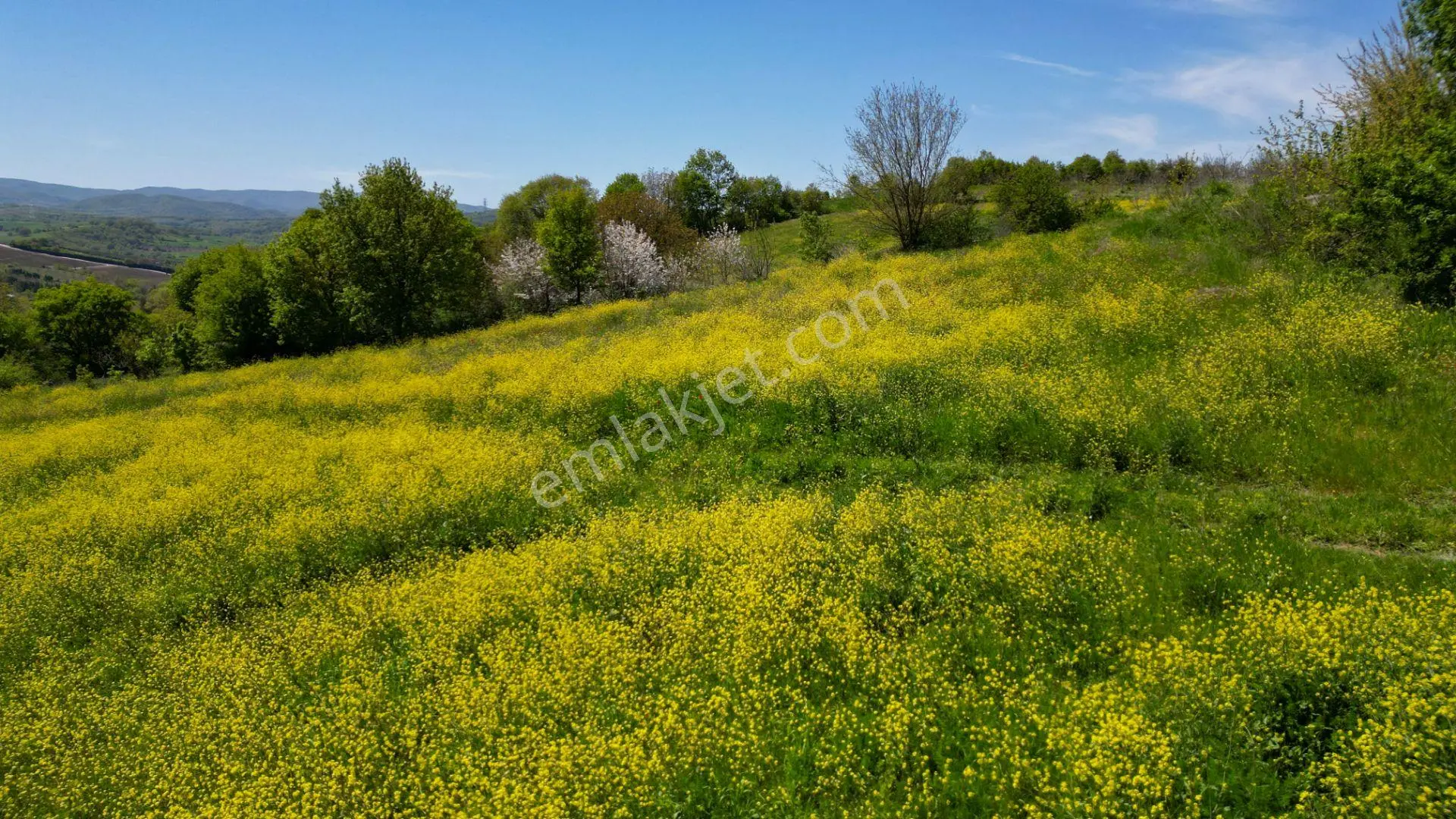Uzmanlar'dan Karamürsel Yalakdere Satılık 6855 M2 Tarla — fotoğraf 12