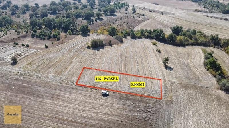 Mayadan Müstakil Tapu 3.000M2 Tarla