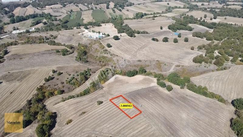 Mayadan Müstakil Tapu 3.000m2 Tarla — fotoğraf 2