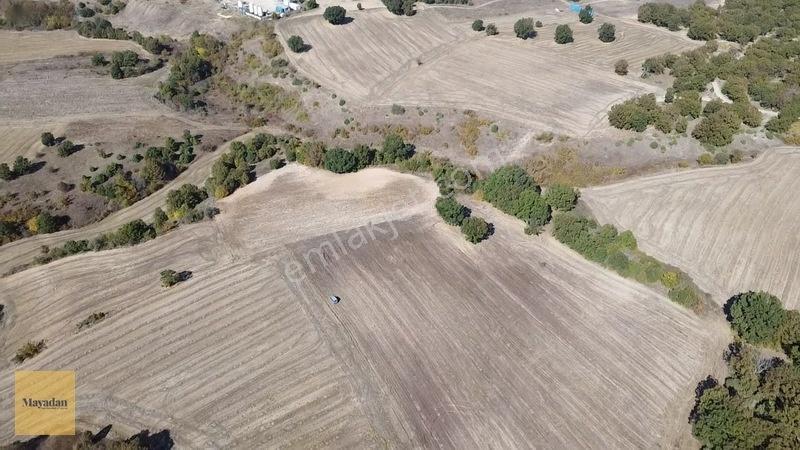 Mayadan Müstakil Tapu 3.000m2 Tarla — fotoğraf 3