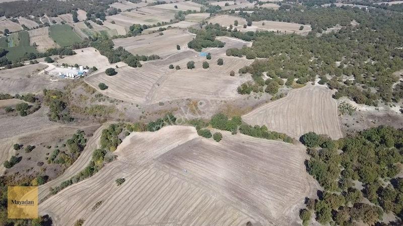 Mayadan Müstakil Tapu 3.000m2 Tarla — fotoğraf 4