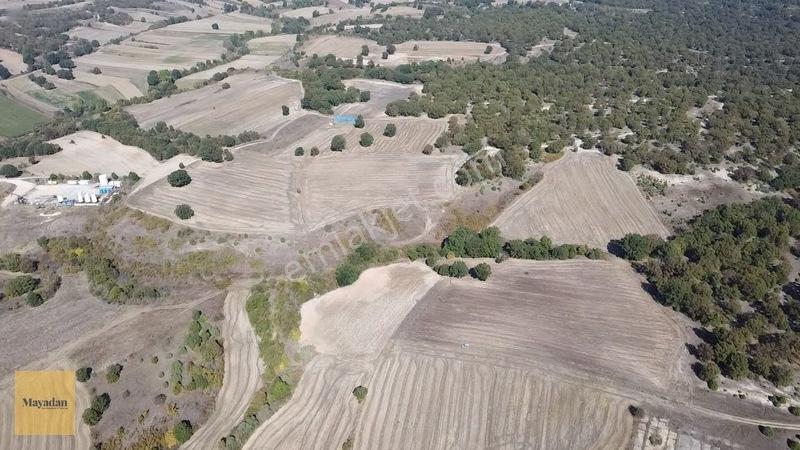 Mayadan Müstakil Tapu 3.000m2 Tarla — fotoğraf 5