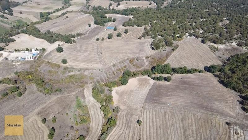 Mayadan Müstakil Tapu 3.000m2 Tarla — fotoğraf 6