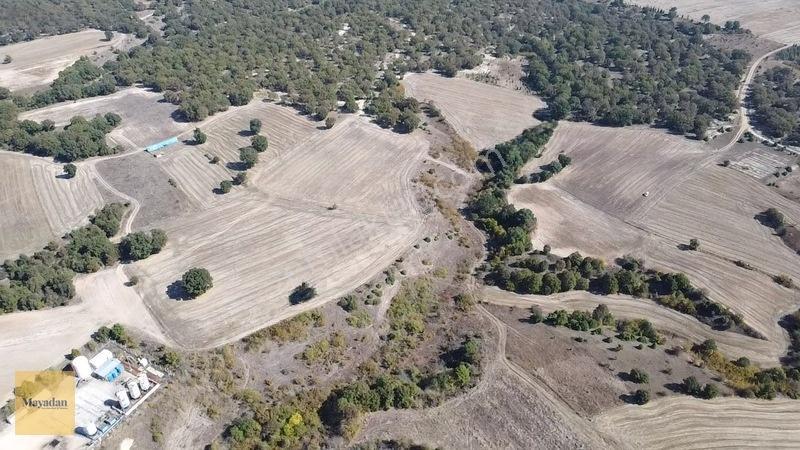 Mayadan Müstakil Tapu 3.000m2 Tarla — fotoğraf 7