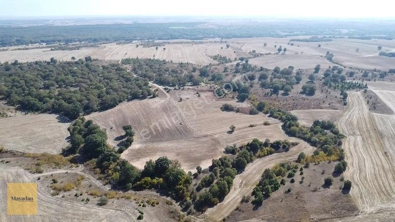 Mayadan Müstakil Tapu 3.000m2 Tarla — fotoğraf 8