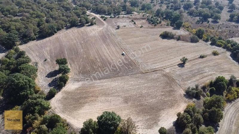 Mayadan Müstakil Tapu 3.000m2 Tarla — fotoğraf 9