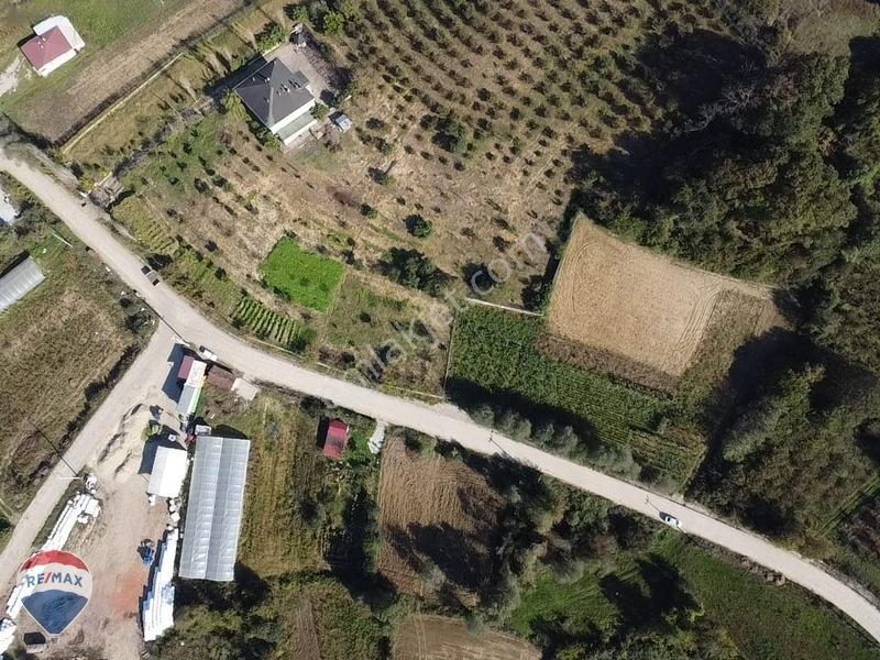 Remaxtan Satılık Asfalt Yola 42 Metre Cephesi Olan Tarla