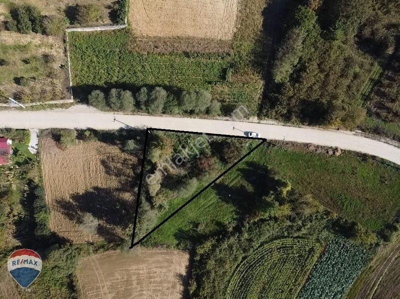 Remaxtan Satılık Asfalt Yola 42 Metre Cephesi Olan Tarla — fotoğraf 3