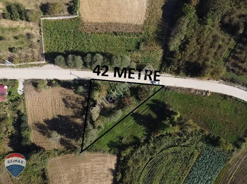Remaxtan Satılık Asfalt Yola 42 Metre Cephesi Olan Tarla — fotoğraf 4