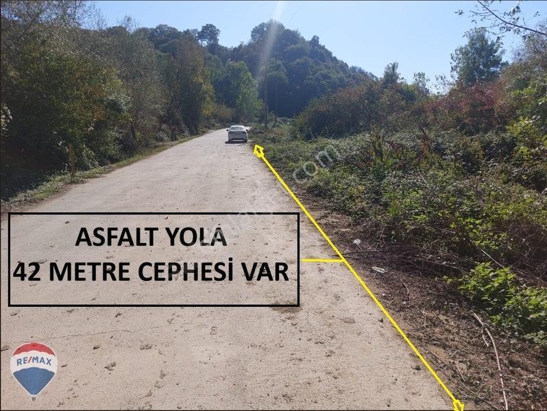 Remaxtan Satılık Asfalt Yola 42 Metre Cephesi Olan Tarla — fotoğraf 6