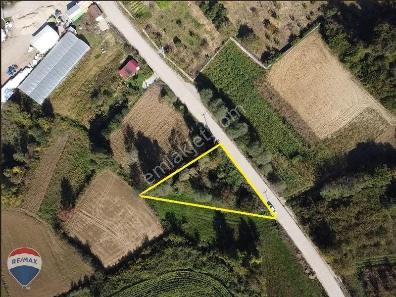 Remaxtan Satılık Asfalt Yola 42 Metre Cephesi Olan Tarla — fotoğraf 8