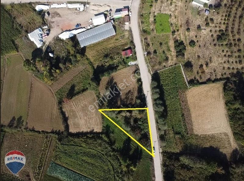 Remaxtan Satılık Asfalt Yola 42 Metre Cephesi Olan Tarla — fotoğraf 9