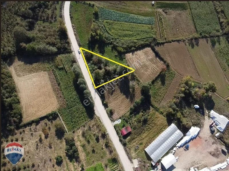 Remaxtan Satılık Asfalt Yola 42 Metre Cephesi Olan Tarla — fotoğraf 10