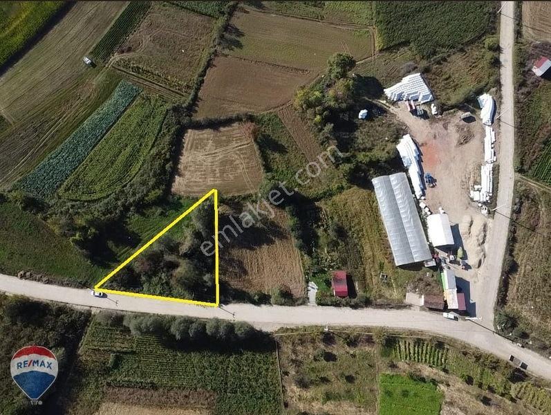 Remaxtan Satılık Asfalt Yola 42 Metre Cephesi Olan Tarla — fotoğraf 11