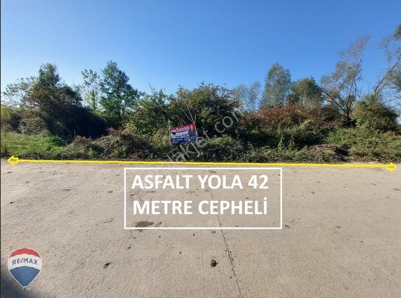 Remaxtan Satılık Asfalt Yola 42 Metre Cephesi Olan Tarla — fotoğraf 12
