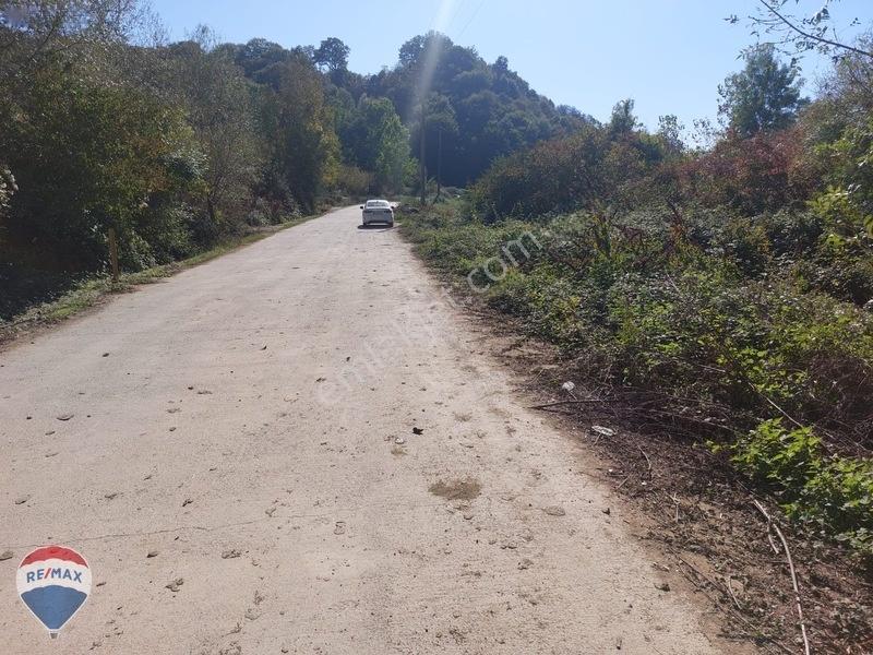 Remaxtan Satılık Asfalt Yola 42 Metre Cephesi Olan Tarla — fotoğraf 14