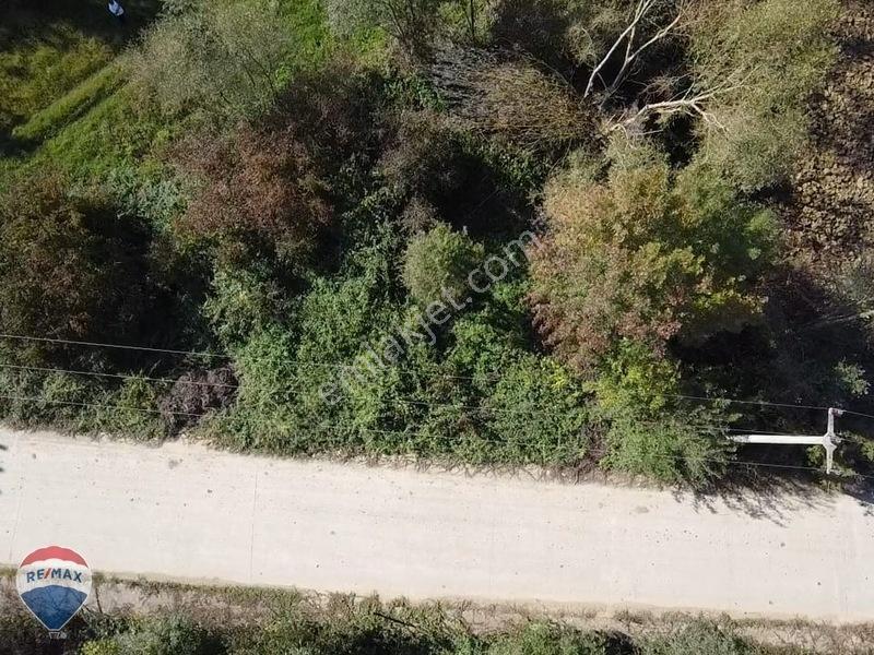 Remaxtan Satılık Asfalt Yola 42 Metre Cephesi Olan Tarla — fotoğraf 15