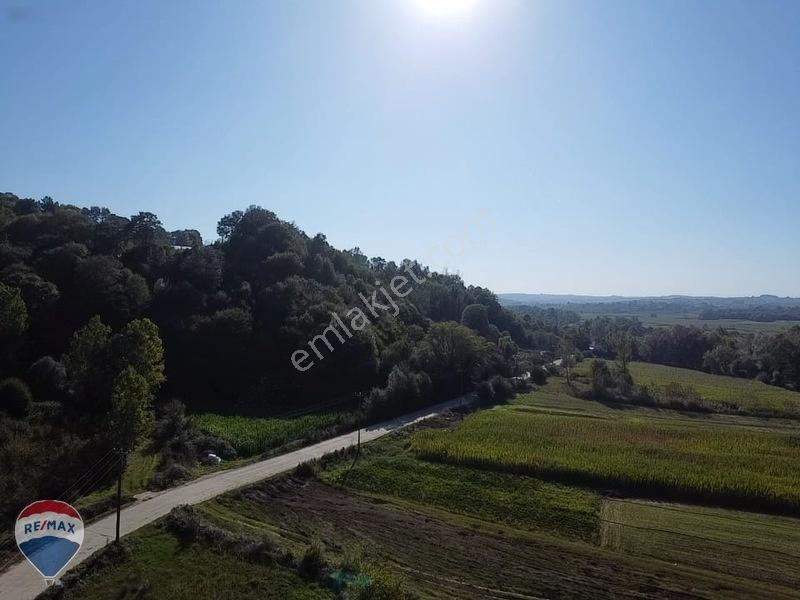 Remaxtan Satılık Asfalt Yola 42 Metre Cephesi Olan Tarla — fotoğraf 16
