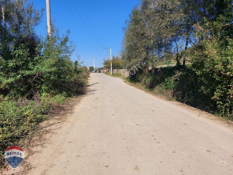 Remaxtan Satılık Asfalt Yola 42 Metre Cephesi Olan Tarla — fotoğraf 17