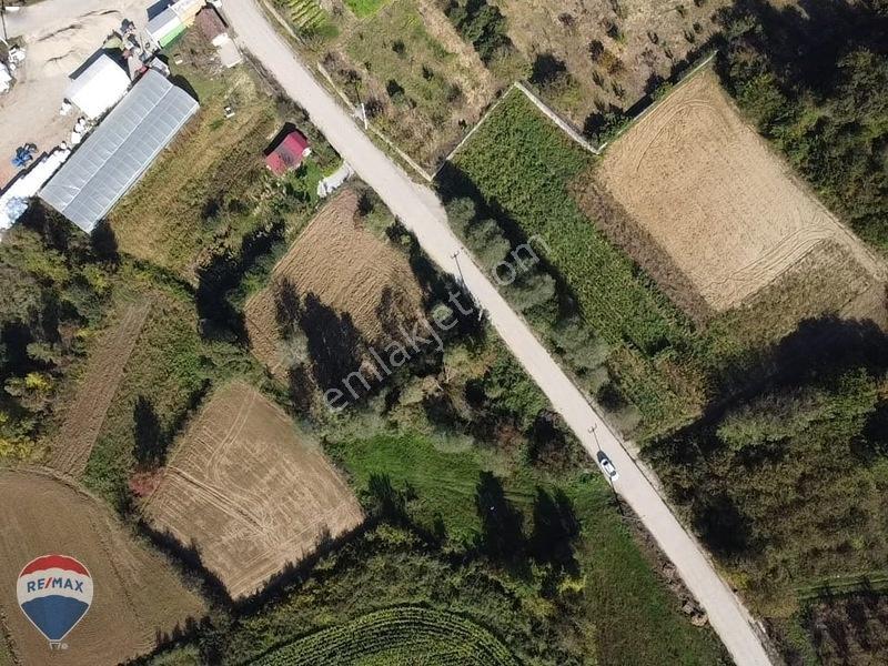 Remaxtan Satılık Asfalt Yola 42 Metre Cephesi Olan Tarla — fotoğraf 19