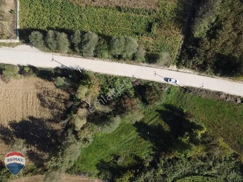 Remaxtan Satılık Asfalt Yola 42 Metre Cephesi Olan Tarla — fotoğraf 20