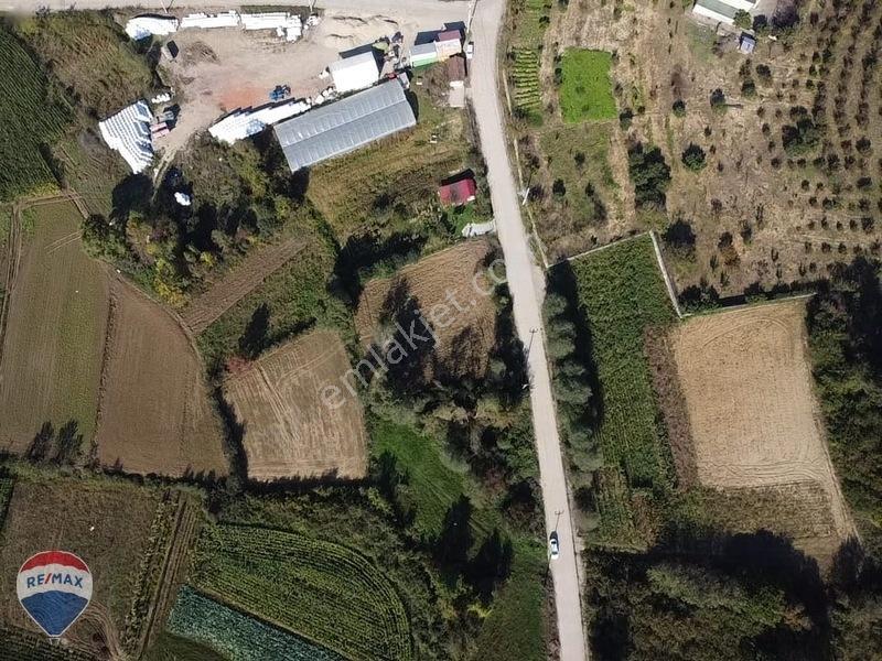 Remaxtan Satılık Asfalt Yola 42 Metre Cephesi Olan Tarla — fotoğraf 21