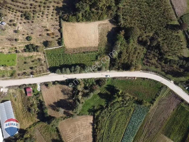 Remaxtan Satılık Asfalt Yola 42 Metre Cephesi Olan Tarla — fotoğraf 22