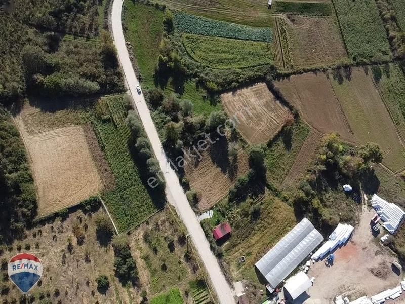 Remaxtan Satılık Asfalt Yola 42 Metre Cephesi Olan Tarla — fotoğraf 23