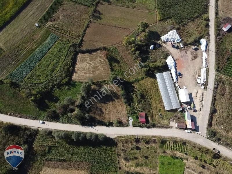 Remaxtan Satılık Asfalt Yola 42 Metre Cephesi Olan Tarla — fotoğraf 24