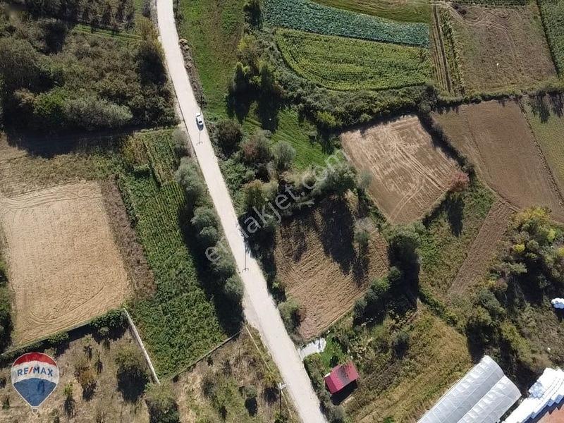 Remaxtan Satılık Asfalt Yola 42 Metre Cephesi Olan Tarla — fotoğraf 25