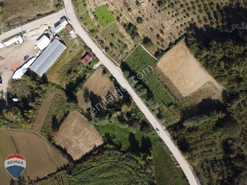 Remaxtan Satılık Asfalt Yola 42 Metre Cephesi Olan Tarla — fotoğraf 26