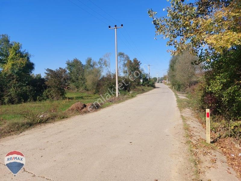 Remaxtan Satılık Asfalt Yola 42 Metre Cephesi Olan Tarla — fotoğraf 28