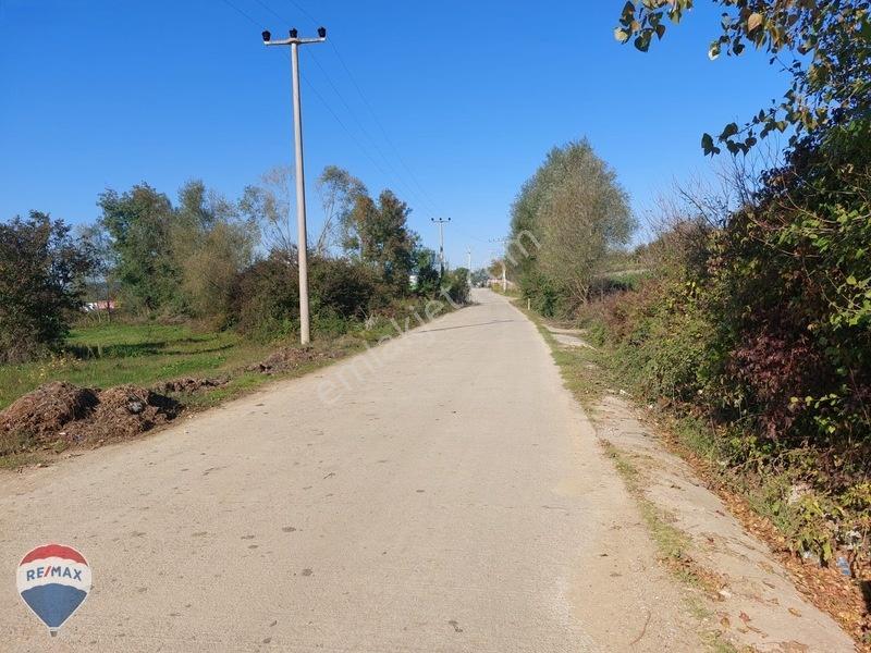 Remaxtan Satılık Asfalt Yola 42 Metre Cephesi Olan Tarla — fotoğraf 29
