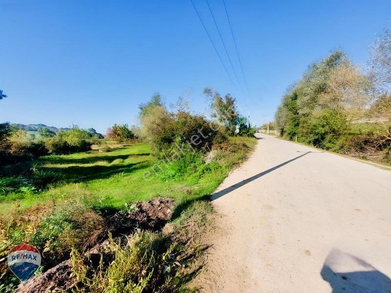 Remaxtan Satılık Asfalt Yola 42 Metre Cephesi Olan Tarla — fotoğraf 30