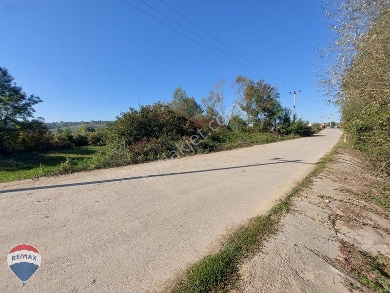 Remaxtan Satılık Asfalt Yola 42 Metre Cephesi Olan Tarla — fotoğraf 31