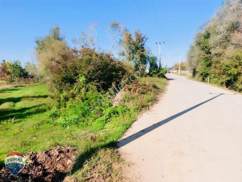 Remaxtan Satılık Asfalt Yola 42 Metre Cephesi Olan Tarla — fotoğraf 32