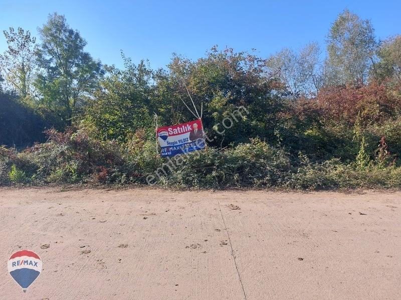 Remaxtan Satılık Asfalt Yola 42 Metre Cephesi Olan Tarla — fotoğraf 33
