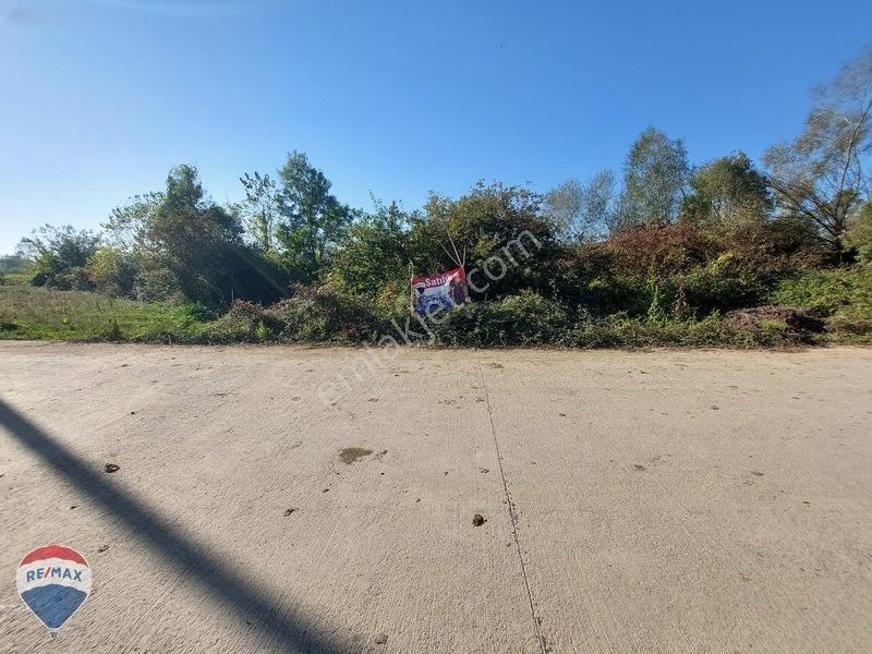 Remaxtan Satılık Asfalt Yola 42 Metre Cephesi Olan Tarla — fotoğraf 34