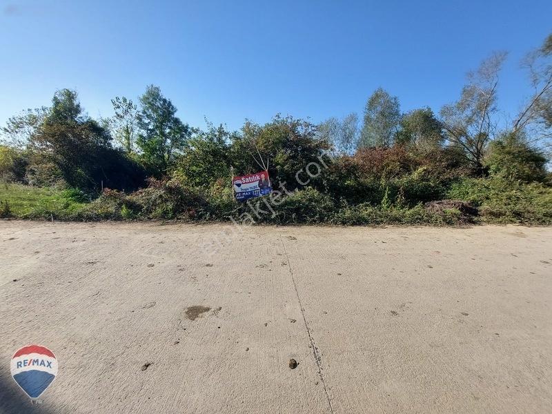 Remaxtan Satılık Asfalt Yola 42 Metre Cephesi Olan Tarla — fotoğraf 35
