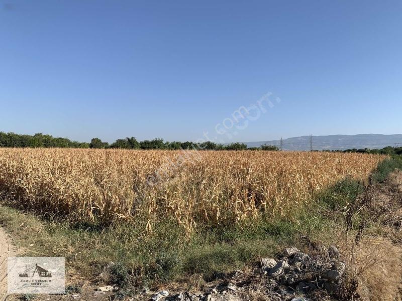 Merkezefendi Eskihisarda Köşe Konumda 5.157 M² Arsa | Yatırımlı — fotoğraf 4