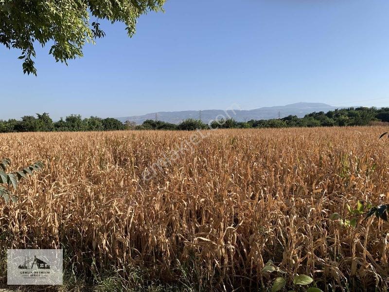 Merkezefendi Eskihisarda Köşe Konumda 5.157 M² Arsa | Yatırımlı — fotoğraf 5