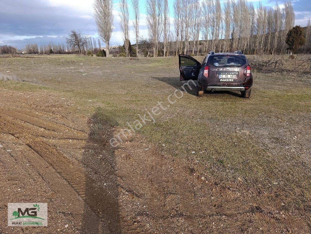 Kütahya Altıntaş Pınarcık Köyü Kelepir Arsa Tarla — fotoğraf 2