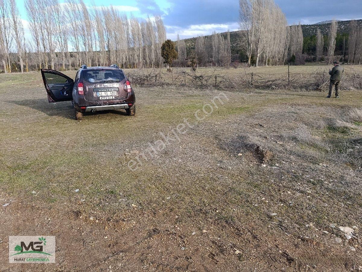 Kütahya Altıntaş Pınarcık Köyü Kelepir Arsa Tarla — fotoğraf 3